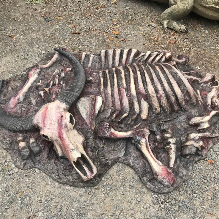 Natureworks Australia Water Buffalo carcass - Asian - custom designed for Aust Rept Park- side view