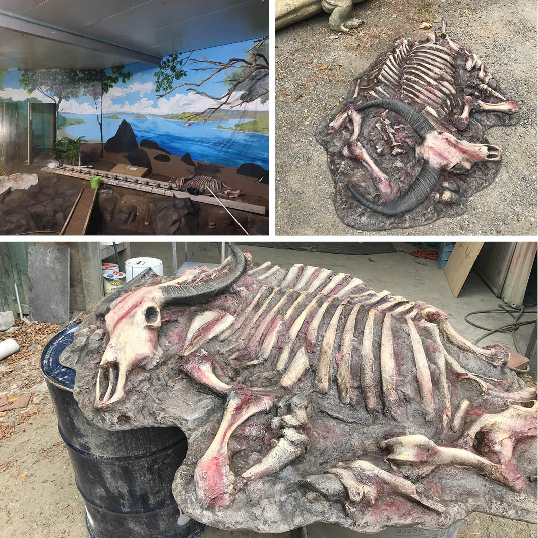 Natureworks Australia Water Buffalo carcass - Asian - custom designed for Aust Rept Park- various views