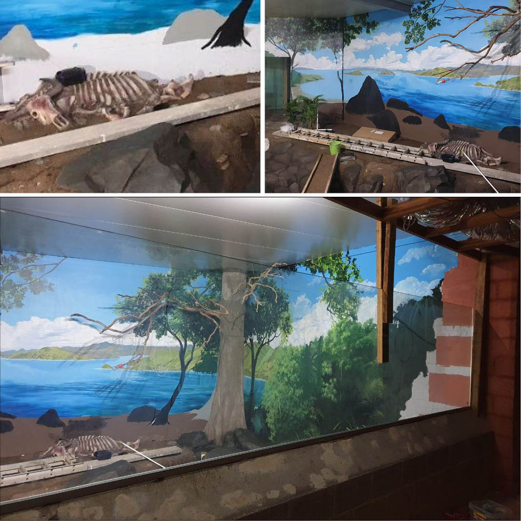 Natureworks Australia Water Buffalo carcass - Asian - custom designed for Australian Reptile Park