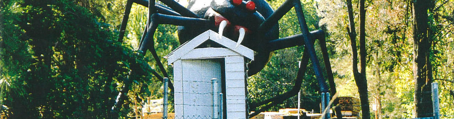 Redback Spider scares customers